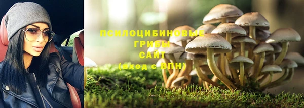 тгк Алзамай