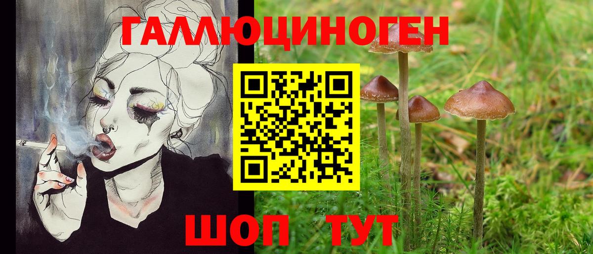 Псилоцибиновые грибы Cubensis  Галлюциногенные грибы мухоморы  Вход с VPN  Апшеронск 